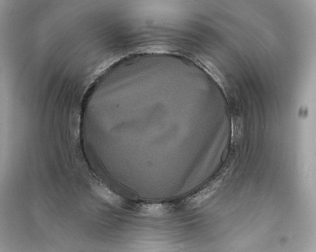 X0000090710301200708101511