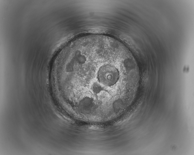 X0000090710303200708101511