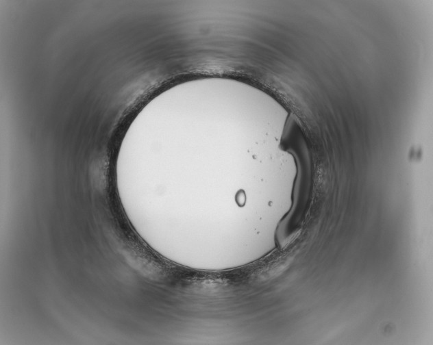 X0000090710304200708101511