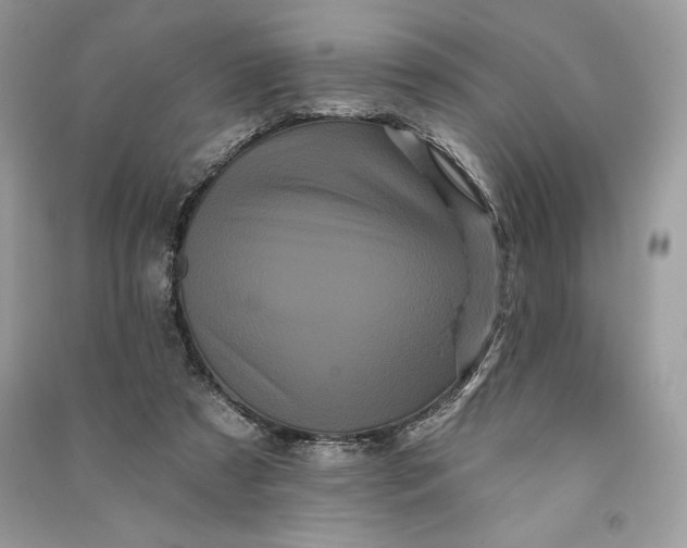 X0000090710305200708101511