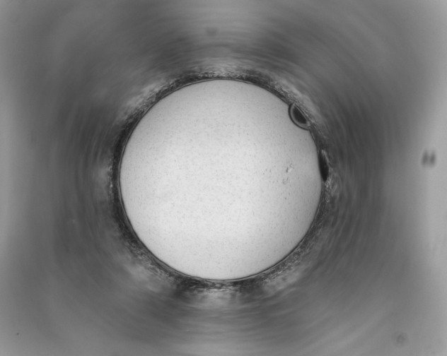 X0000090710306200708101511