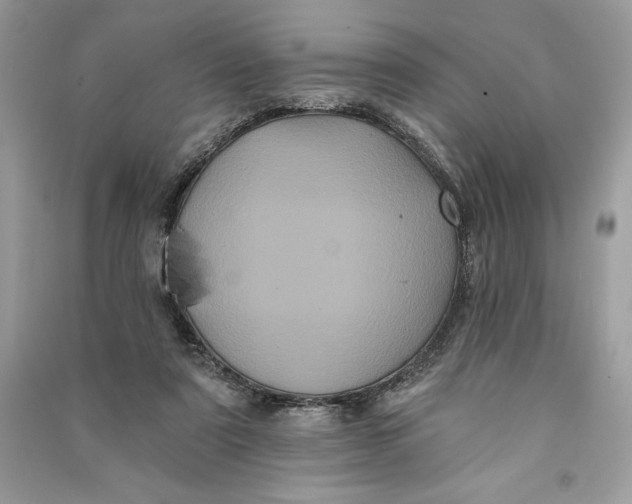 X0000090710307200708101511