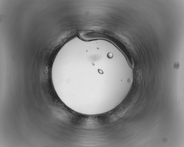 X0000090710308200708101511