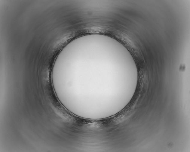 X0000090710310200708101511