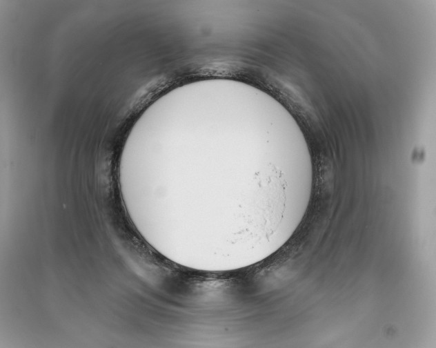 X0000090710312200708101511