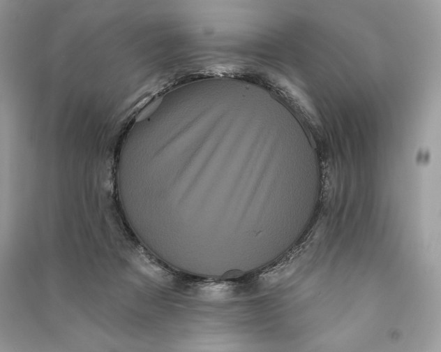 X0000090710313200708101511