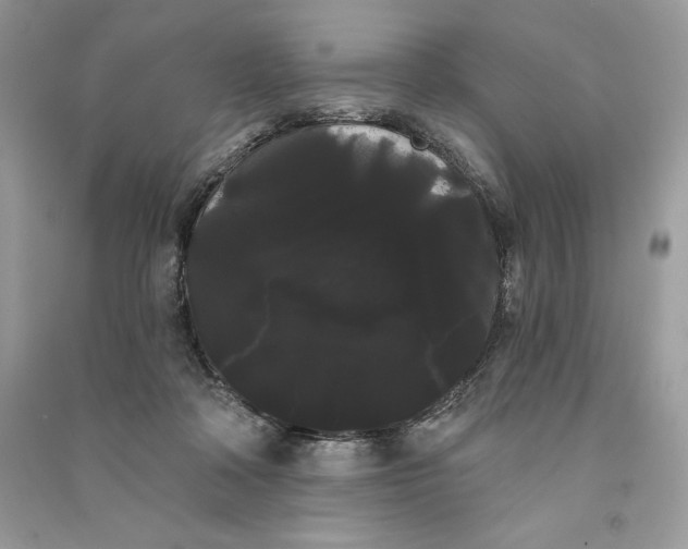 X0000090710314200708101511