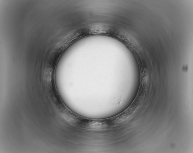 X0000090710315200708101511