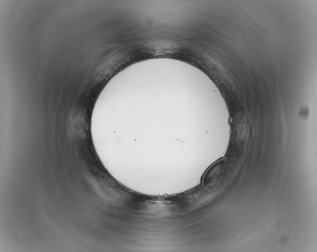 X0000090710316200708101511