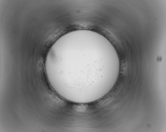 X0000090710318200708101511