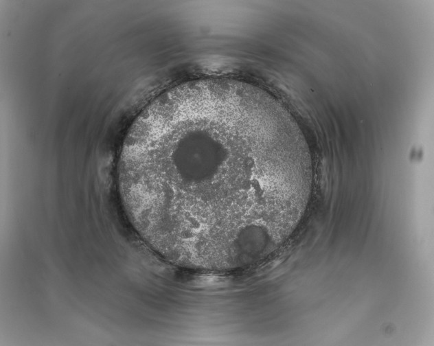 X0000090710319200708101511