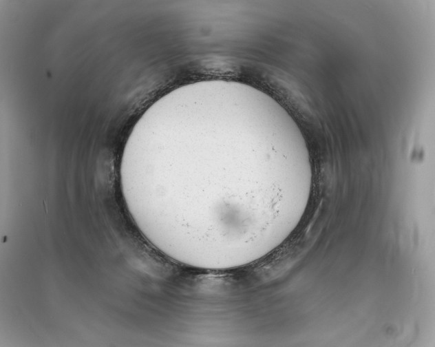 X0000090710320200708101511