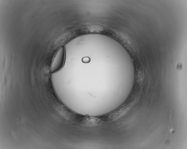 X0000090710321200708101511