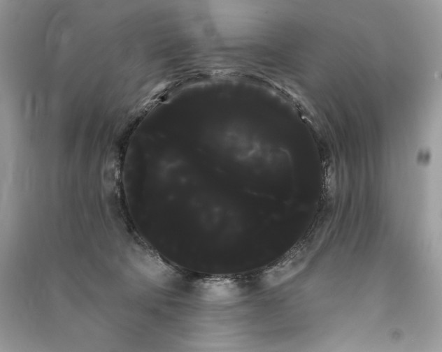 X0000090710322200708101511