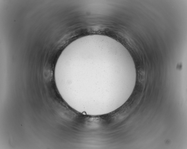 X0000090710324200708101511