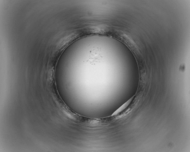 X0000090710325200708101511