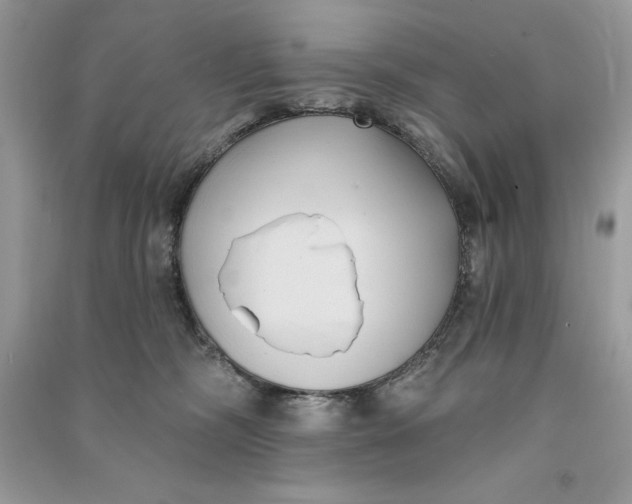 X0000090710326200708101511