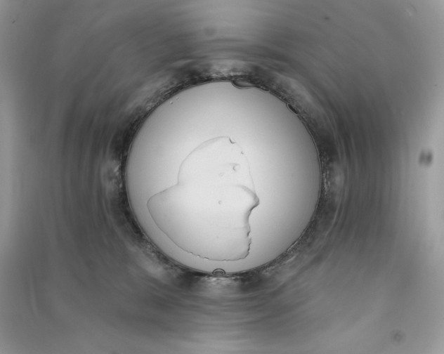 X0000090710327200708101511