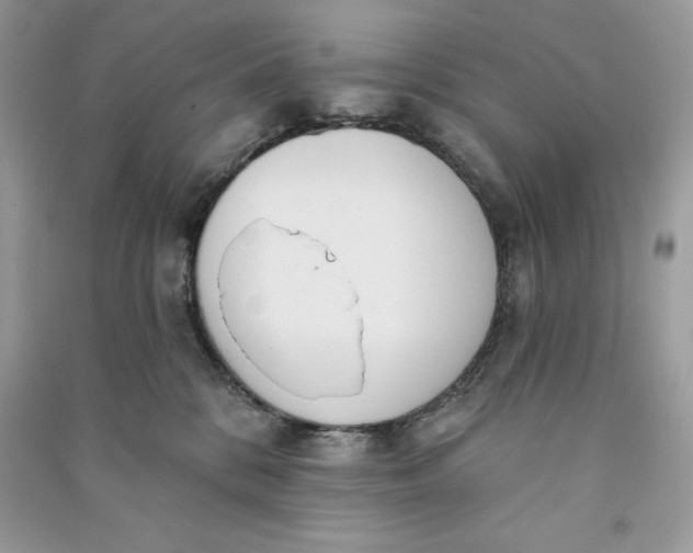 X0000090710328200708101511