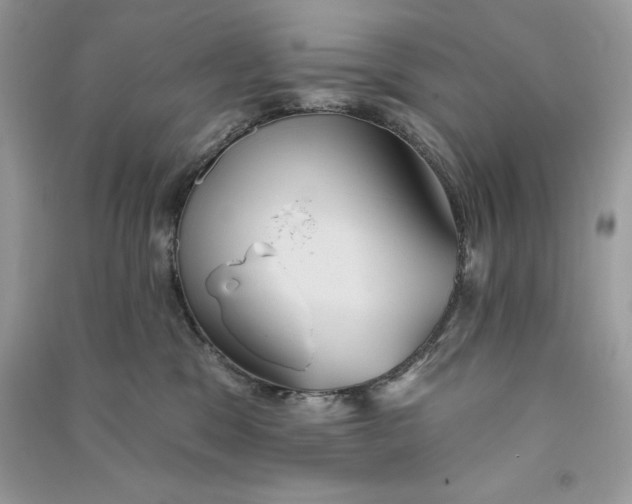 X0000090710329200708101511