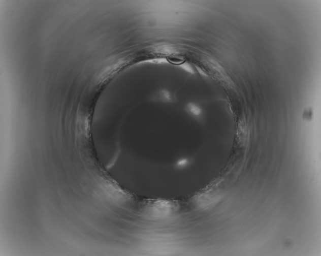 X0000090710330200708101511