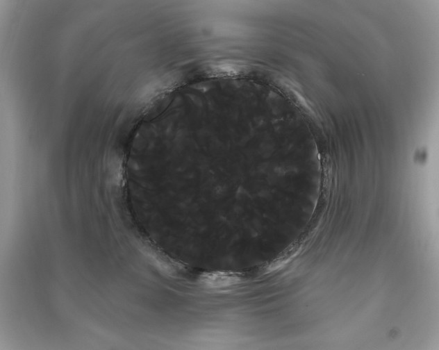 X0000090710331200708101511