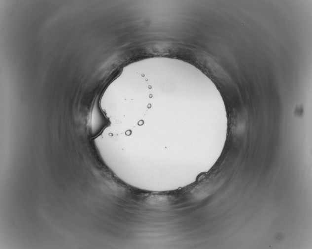 X0000090710332200708101511