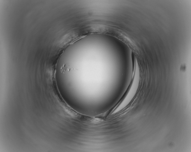 X0000090710333200708101511