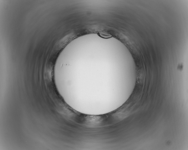 X0000090710334200708101511