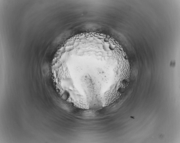 X0000090710335200708101511