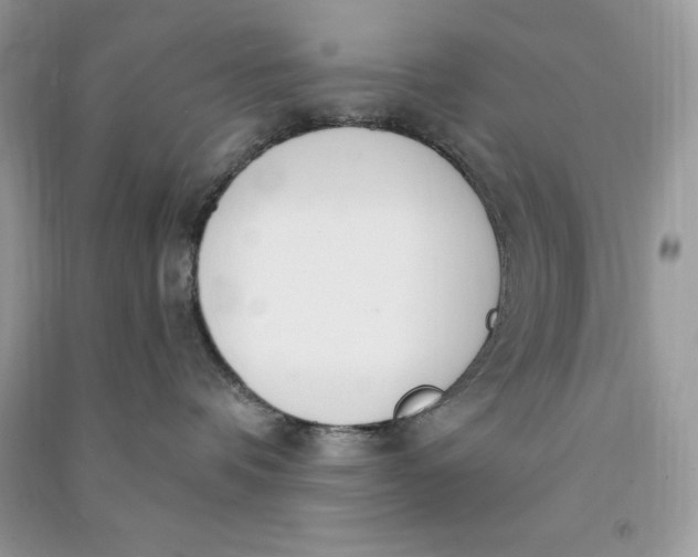 X0000090710336200708101511