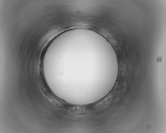 X0000090710338200708101510