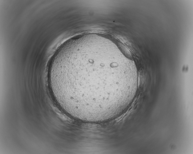 X0000090710339200708101510