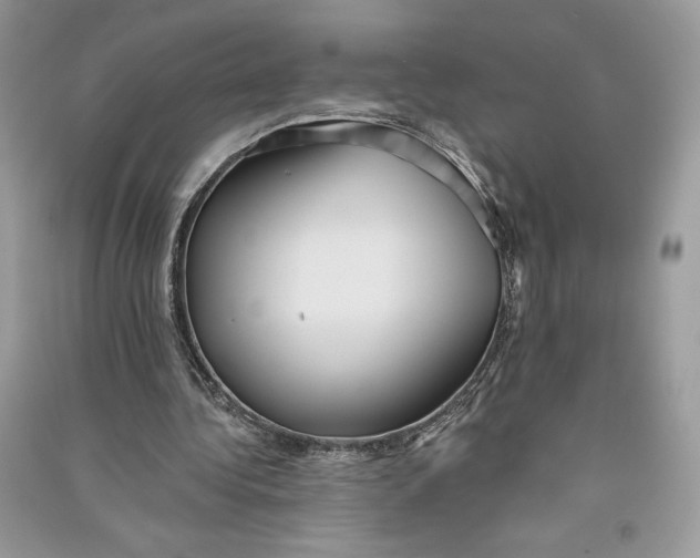 X0000090710340200708101510