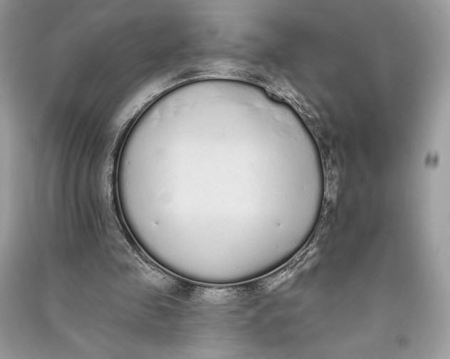 X0000090710341200708101510