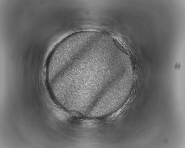 X0000090710342200708101510