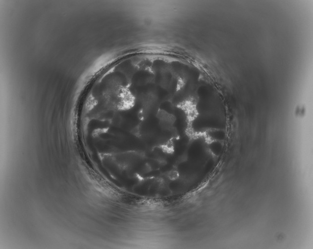 X0000090710343200708101510