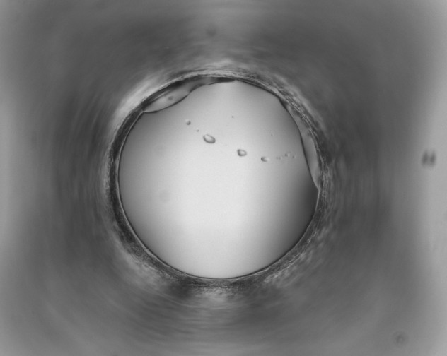 X0000090710344200708101510