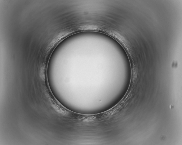 X0000090710345200708101510