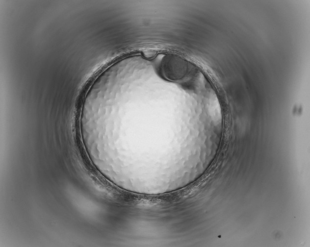 X0000090710346200708101510