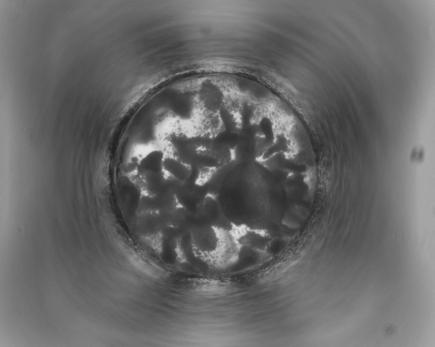 X0000090710347200708101510