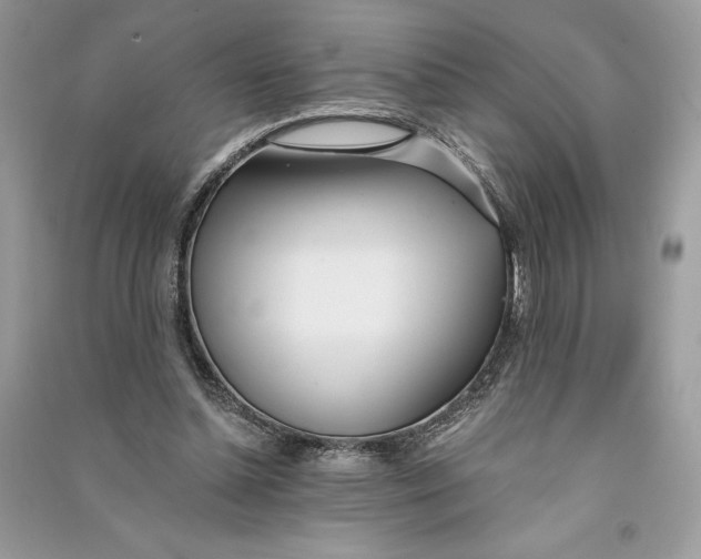 X0000090710348200708101510