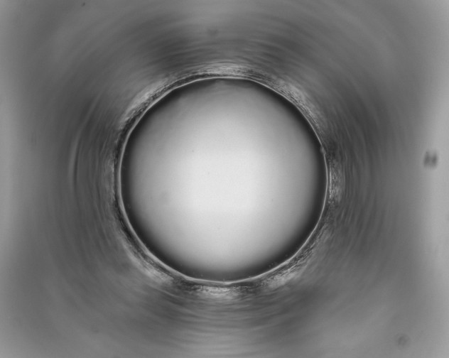 X0000090710349200708101510