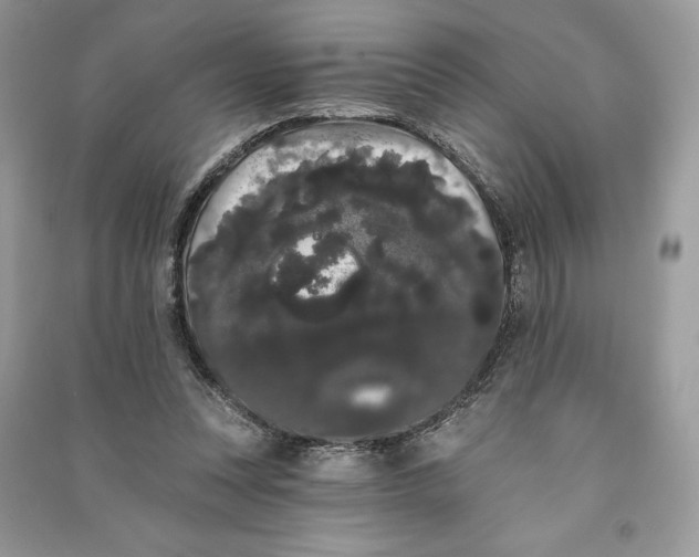 X0000090710351200708101510