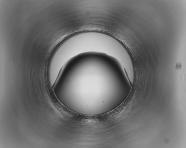 X0000090710352200708101510