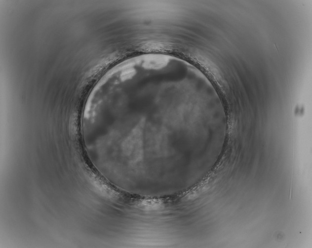 X0000090710353200708101510