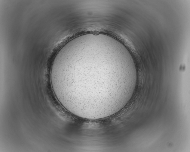 X0000090710354200708101510