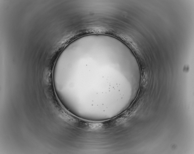 X0000090710355200708101510