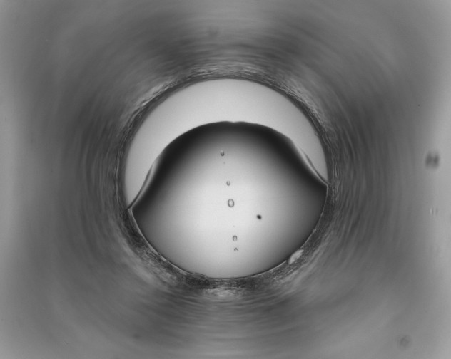 X0000090710356200708101510