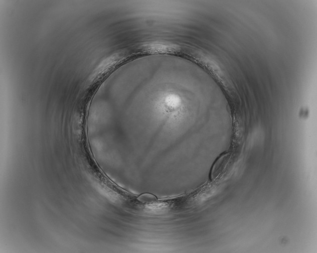 X0000090710357200708101510